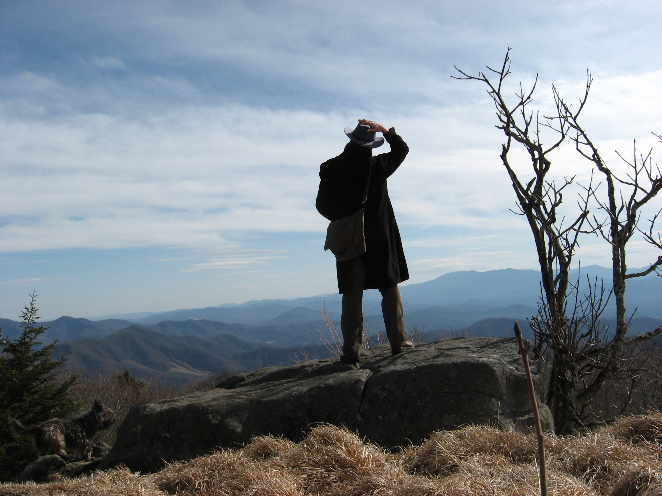 Roan Mountain Walk 022