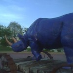 Rhinocerous in Chattanooga