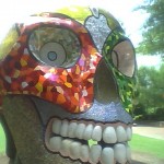 Skull in Charlotte