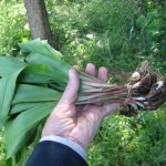 Ramps (5)