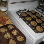 Blueberry Muffins (6)