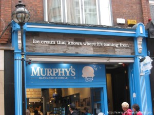 Murphy's in Dublin Dr Bear 2013